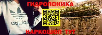 шишки Ирбит