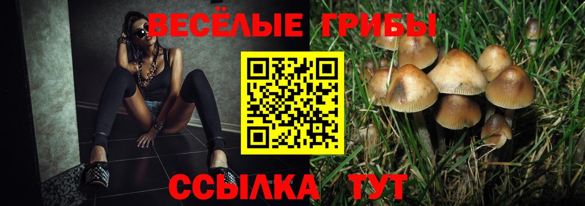 Черемхово  Галлюциногенные грибы Magic Shrooms  Вход с VPN 