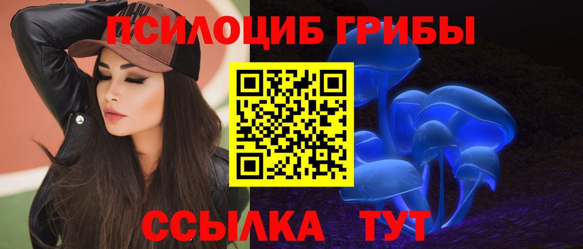 Псилоцибиновые грибы MAGIC MUSHROOMS Черемхово